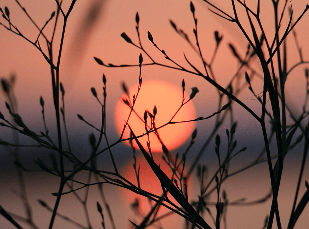 Προς τον χρόνο που φεύγει