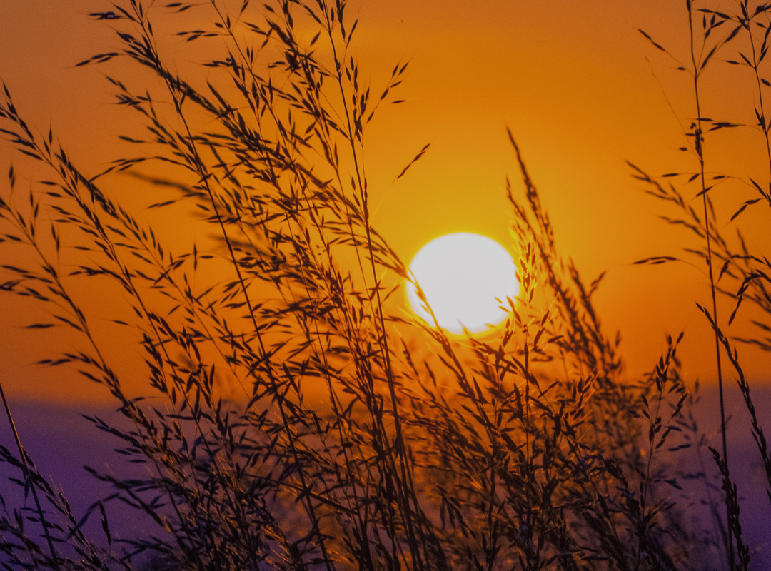Οι ενοχές κατοικούν μέσα μας.